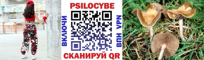Галлюциногенные грибы Psilocybine cubensis  Армянск 